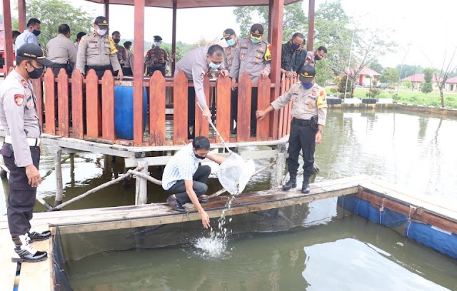 Jaga Ketahanan Pangan Polres Lingga Budidaya Ikan Tawar 
